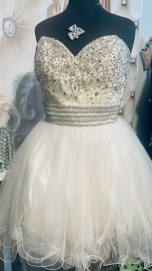 CINDERELLA DRESS (XL)